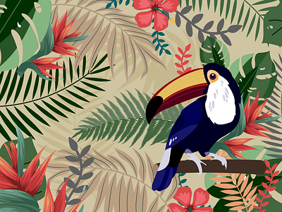 Toucan bird botanical illustration toucan tropics