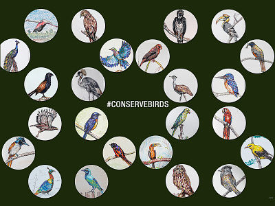 #CONSERVEBIRDS art bird birds conservation design eagle illustration owl visual design wilderness wildlife wildlife art wildlife illustration