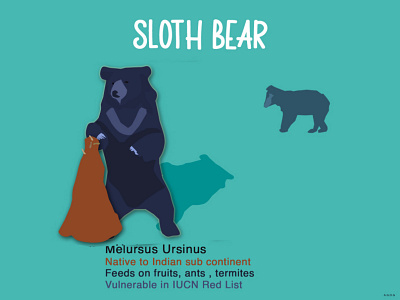 WORLD SLOTH BEAR DAY animal art bear bears branding design illustration slothbear wildlife