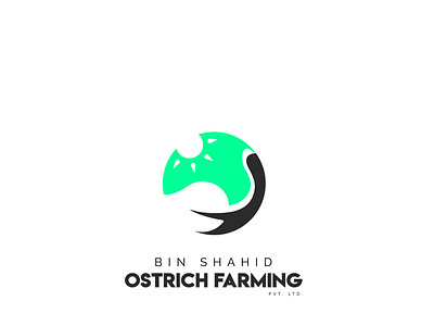 Logo Design (Bin Shahid Ostrich Farming)