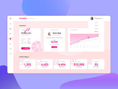 Sociable Dashboard dashboard dribbble graph important instagram interface media social ui ux