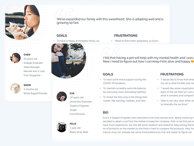 Personas cat cats ingat layout persona personas process sample template user experience user research ux