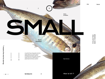 Small fish landing layout page sketch