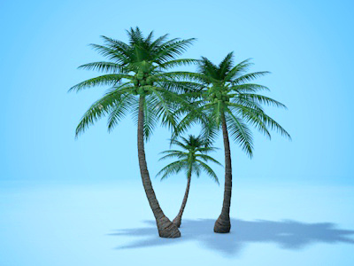 Simple Palm 3d beach c4d cinema 4d cinéma 4d nature palm tree