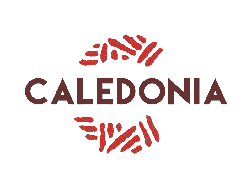 Caledonia Logo Process animation brand branding caledonia gif kanak logo loop melanesian process tv tv channel