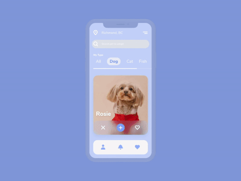 Pet Adoption App adobe adobexd adoption animal animation app app design cards daily dailychallenge dailycreativechallenge dog freelance minimal mobile pet pets prototype swipe