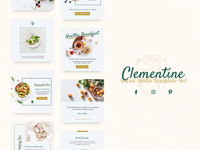 Clementine - Social Media Template apricot banners blogger breakfast clementine facebook food fruit healthy healthy food instagram pinterest salad sandwich social media banner social media template