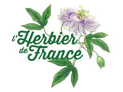 L'Herbier De France . identity identity logo