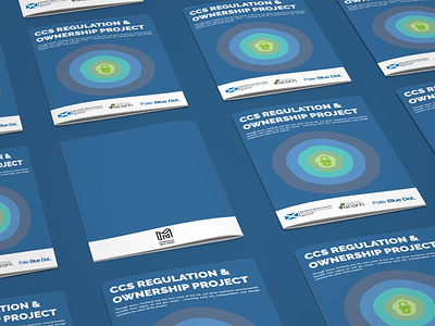 CCD report design booklet cover document design illustrator indesign layout print report