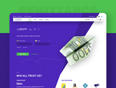 Remittance Services Website [Concept] clean currency fancy remit send money