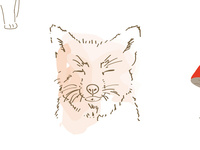 little Fox 