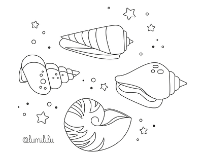 seashells animal black and white design graphic design illustration nature seashells vector