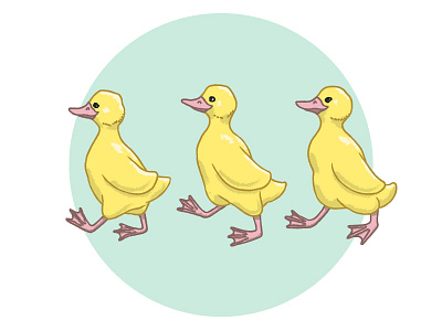 Ducklings adobe animals birds ducklings illustration illustrator vector