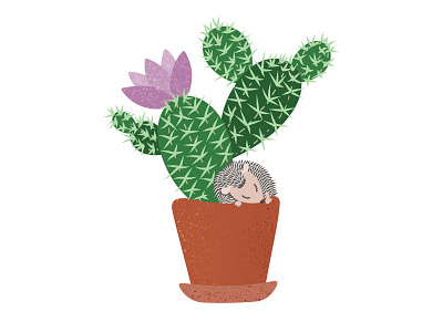 Cactus