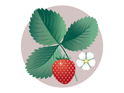 Strawberry adobe berry flower food illustration illustrator leaf plant strawberry vector