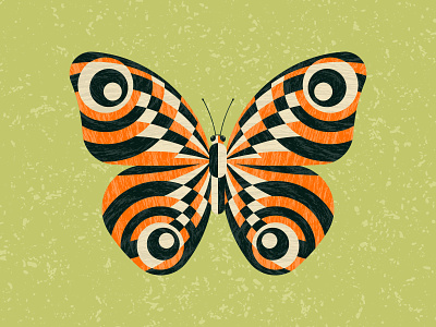 Butterfly adobe butterfly illustration illustrator insect vector