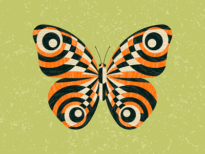 Butterfly adobe butterfly illustration illustrator insect vector