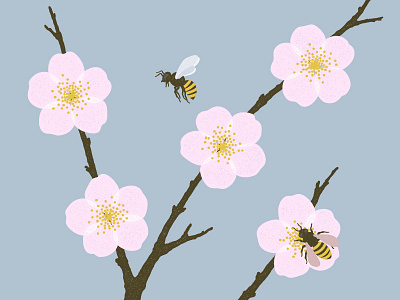 plum blossom adobe bee blossom flower illustration illustrator insect plant plum vector