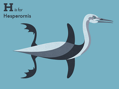 H is for Hesperornis adobe alphabet animal bird extinct hesperornis illustration illustrator letter vector