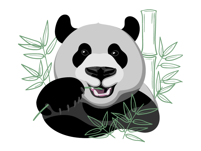 Panda by Anna Labinskaya on Dribbble