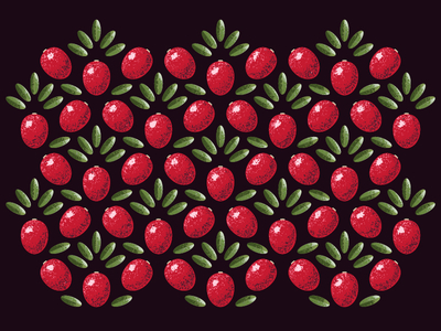 Cranberry pattern adobe berries cranberry illustration illustrator pattern plant vector