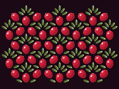 Cranberry pattern adobe berries cranberry illustration illustrator pattern plant vector