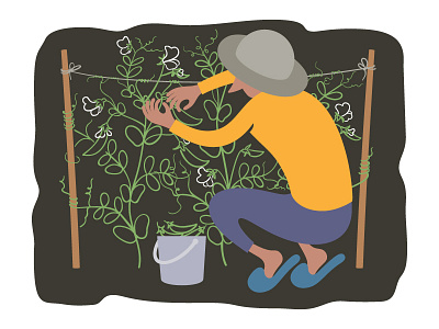 Picking peas adobe gardening horticulture illustration illustrator plant vector