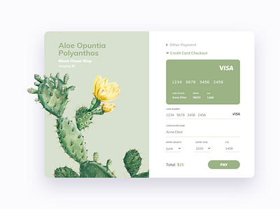 Credit Card Checkout - UI Challenge adobexd app cactus credit card checkout creditcard daily ui design green illustration plant succulent web