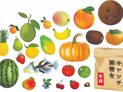 Fruit! assets fruit fruits illustration