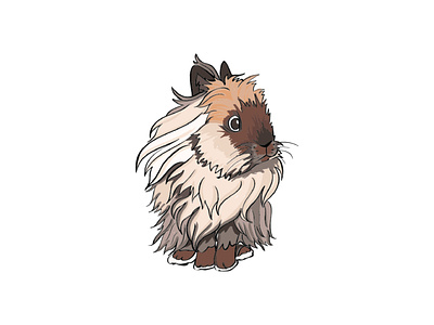 King of the Rabbitry cute illustration lionhead lionhead rabbit rabbit