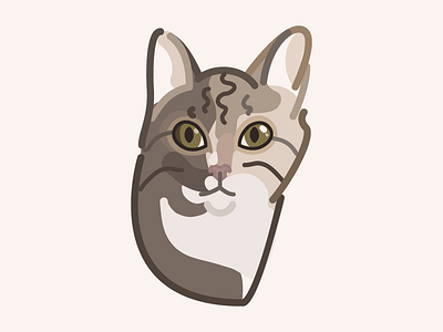 Day 12: Balthazar the cat brown cat everyday project icon illustration kitty lines portrait