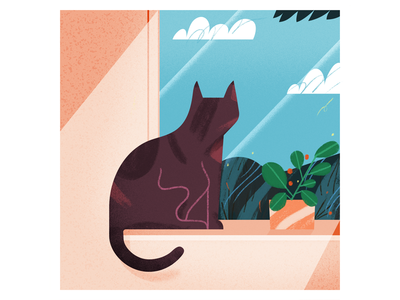more cats