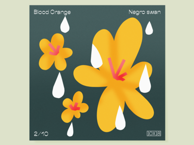 02 – Negro Swan 10x18 illustration music procreate texture