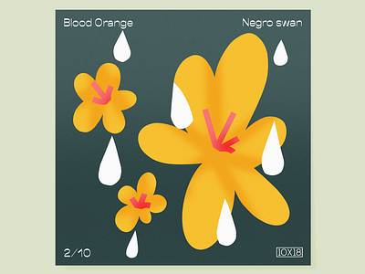 02 – Negro Swan