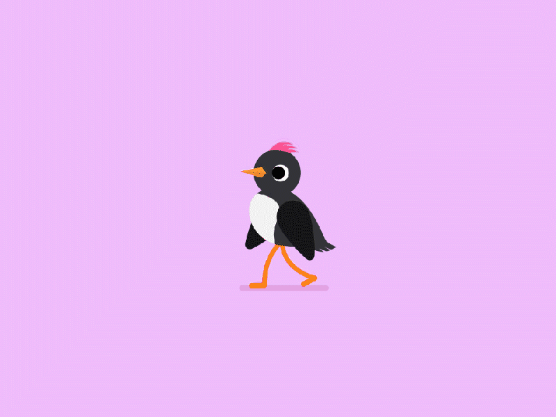 Hello Dribbble! animation bird design dribbble flat font illustration type typography vector woodpecker