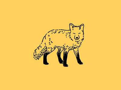 Fox animal art artwork design doodle doodle art fox illustration