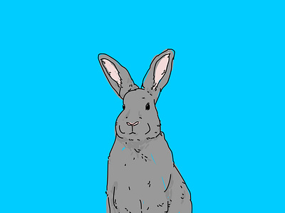 Abu animal animal illustration art artwork graphicdesign illustration illustrator rabbit vector