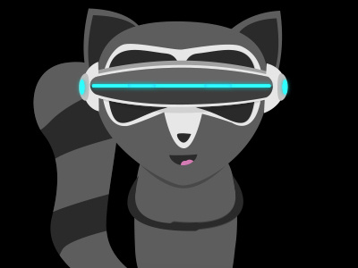 Raccoon VR Goggles