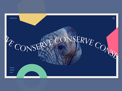 home page animal color concept converse curves design elefante homepage protect save save life shape typography ui uiux webdesign website wildlife wordpress