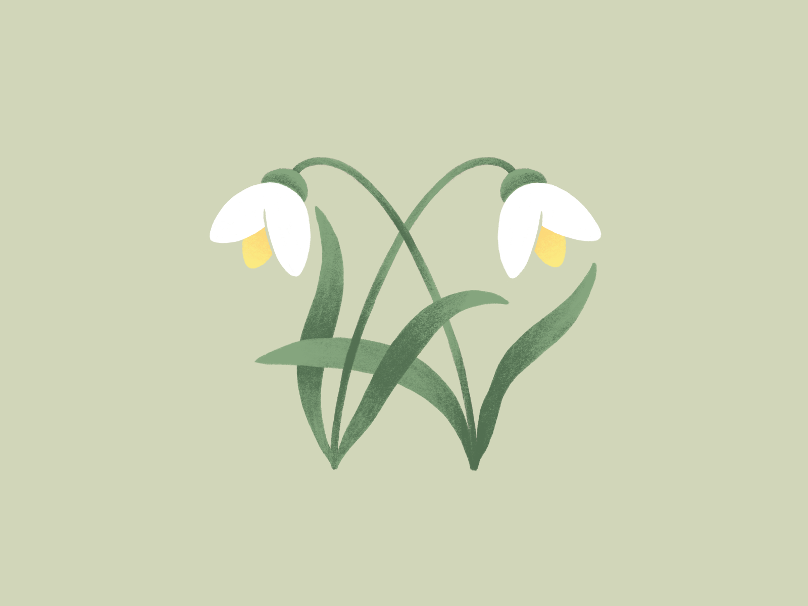 Snowdrops by Katerina Nesterovich on Dribbble