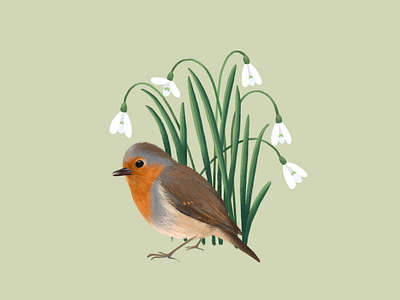 Robin under snowdrops bird illustration poster procreate robin snowdrops