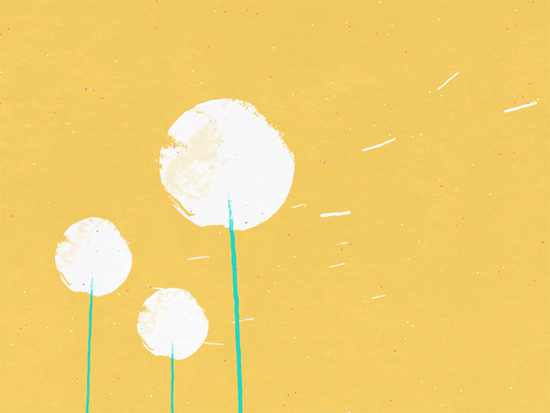 Dandelions in the wind 2d 2d animation after effects animation breathe dandelions explainer video explainer videos grass illustration nature plants storyboard texture transition wind windy