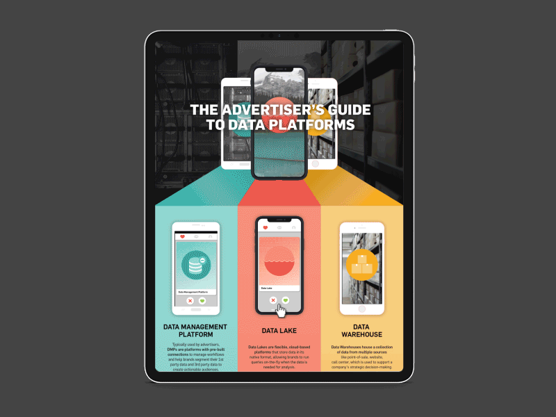 Data Lake Infographic uidesign vector artwork branding visual design icon illustration infographic