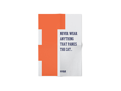 HIGA Clothings - Poster design exploration brand identity design poster typography
