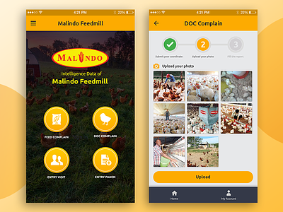 Mobile App : Malindo Feedmill app branding design marketplace mobile apps