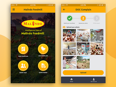 Mobile App : Malindo Feedmill