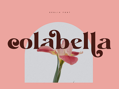 Denlia - Beautiful Font bold font brabding font classic font classy font decorative font design display font font hipster font letter logo font logotype modern font new font quirky font retro font stylish font typography unique font unique logo