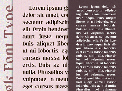 Bligk - Vintage Modern Font
