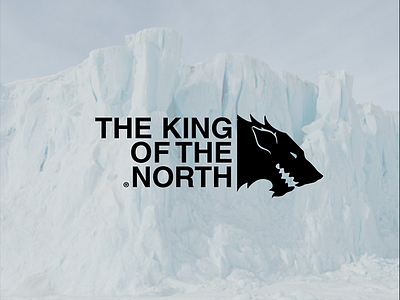 The King of the North face game got north of the thrones