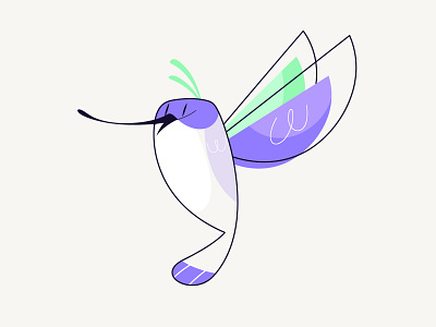 Who doesn't love hummingbirds? 2danimation animation hummingbird illustration illustrator
